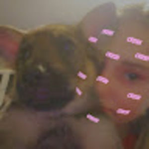 Meet your Posher, Piper